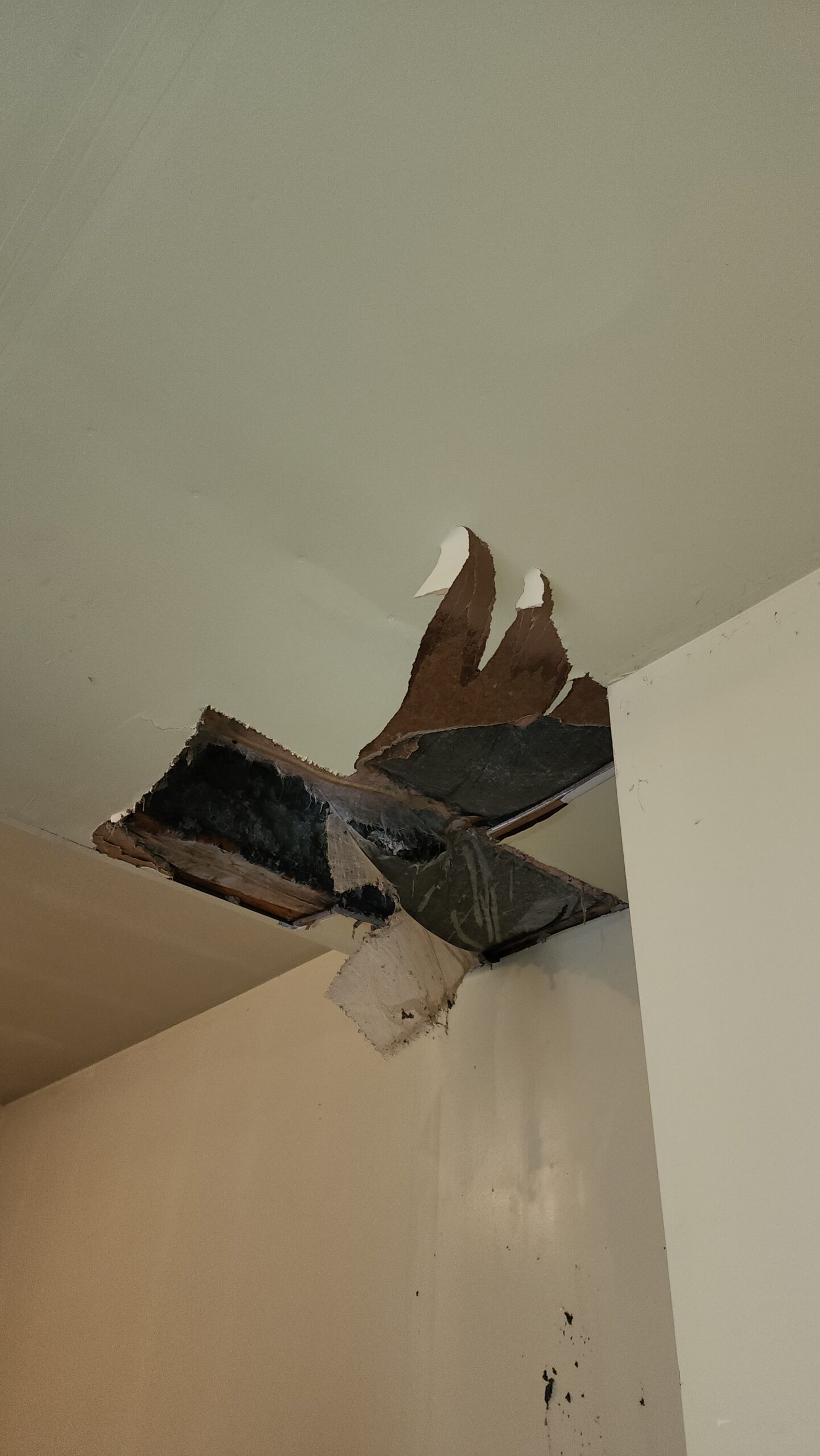 Ceiling collapse water damage