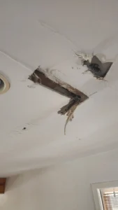 Frozen pipe bust damaged ceiling