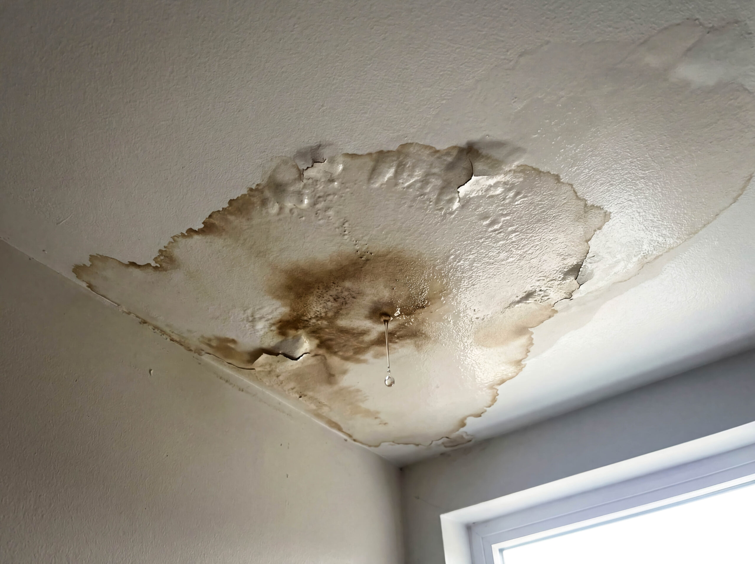 Frozen Pipe Pipe leak wet spot on ceiling