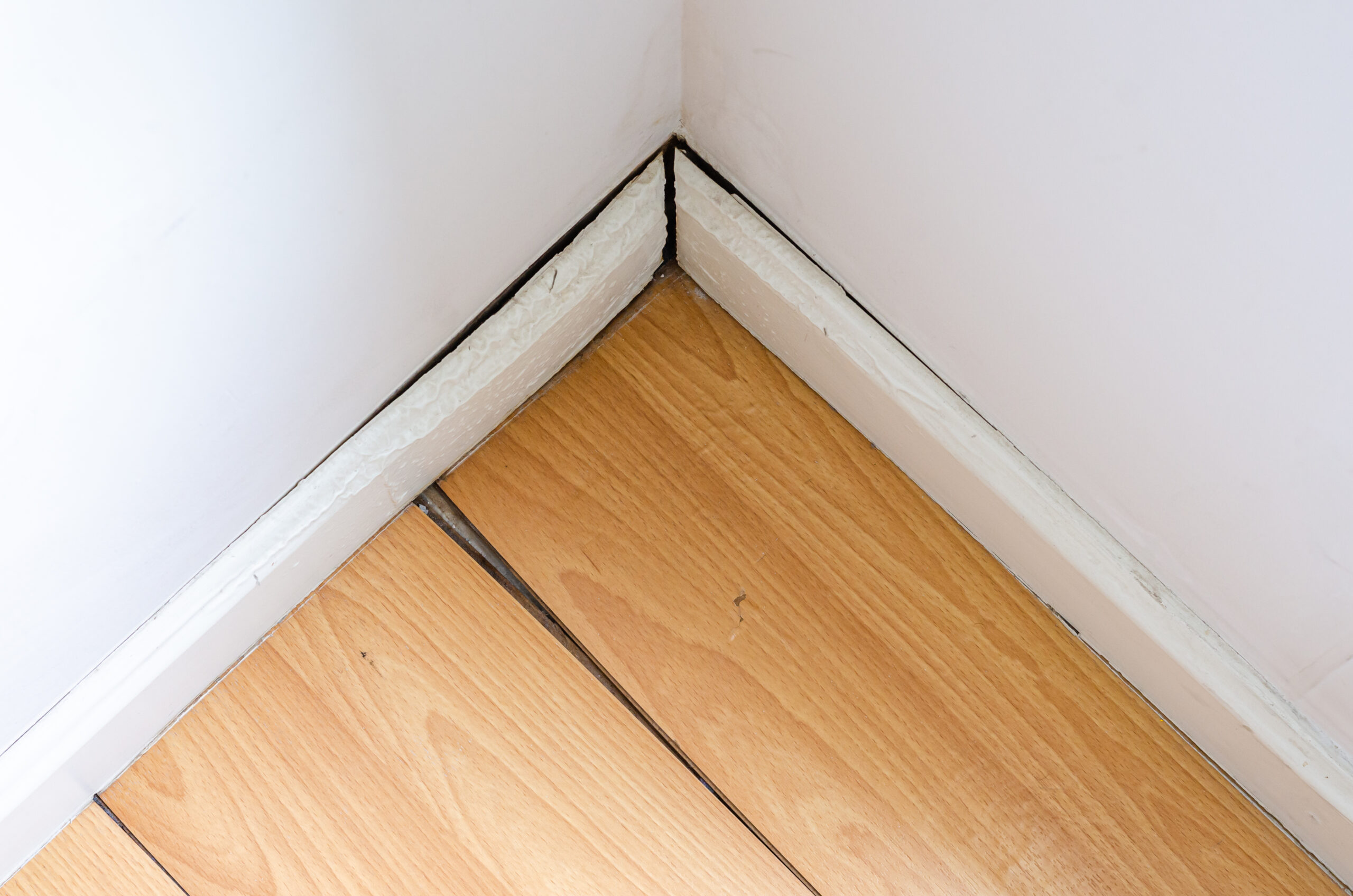 Water Damage baseboard
