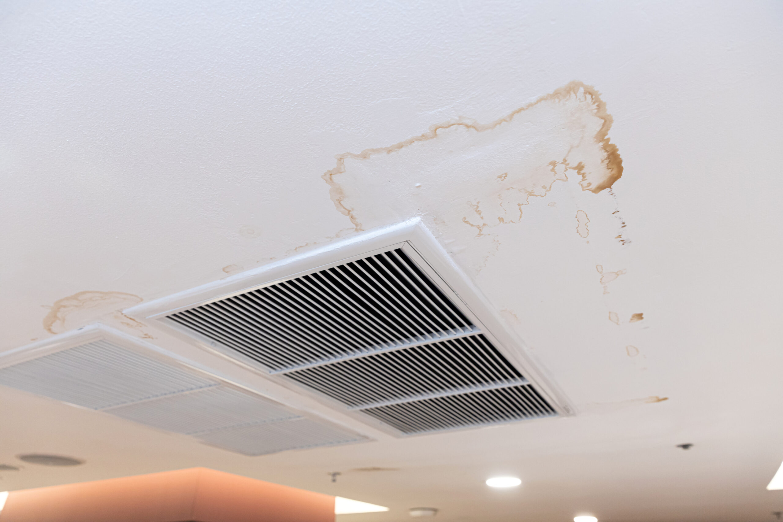 Water damage restoration Novi mi
