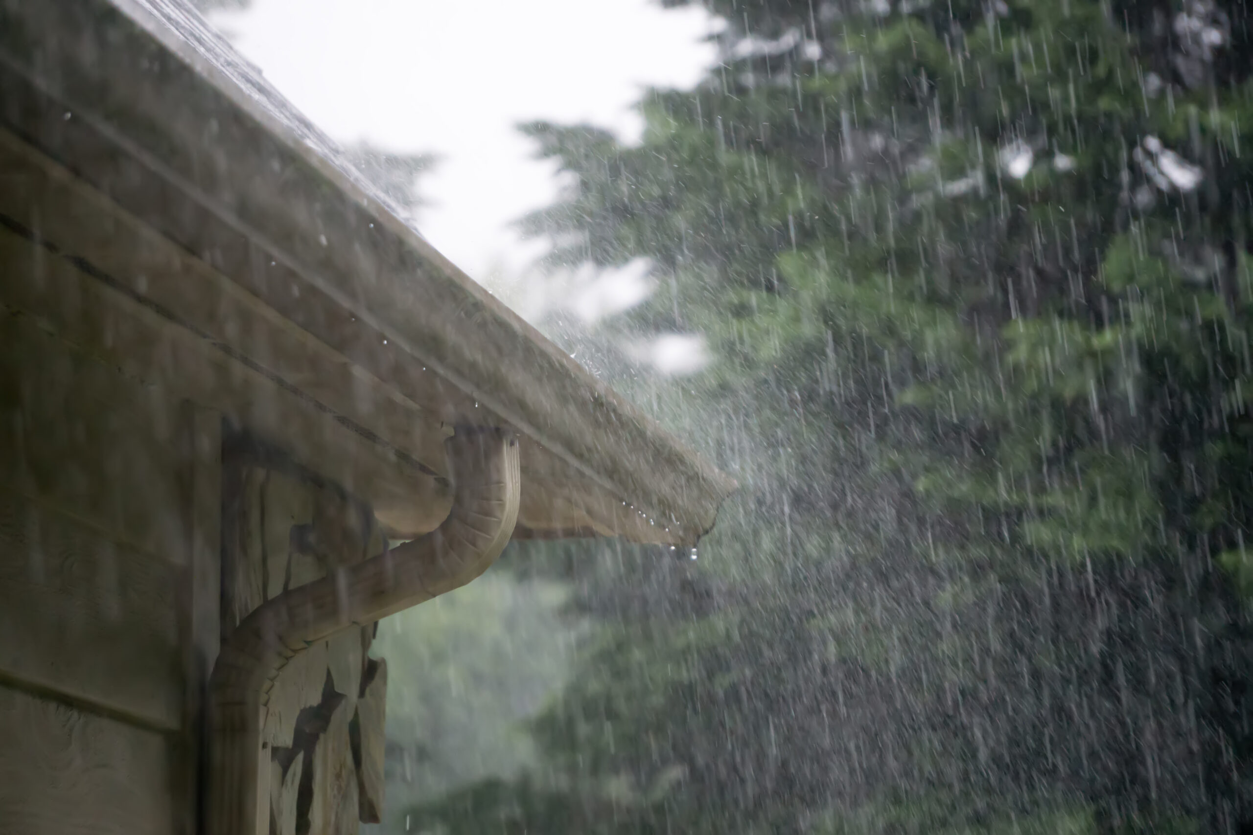 Water Damage Restoration West Bloomfield Mi