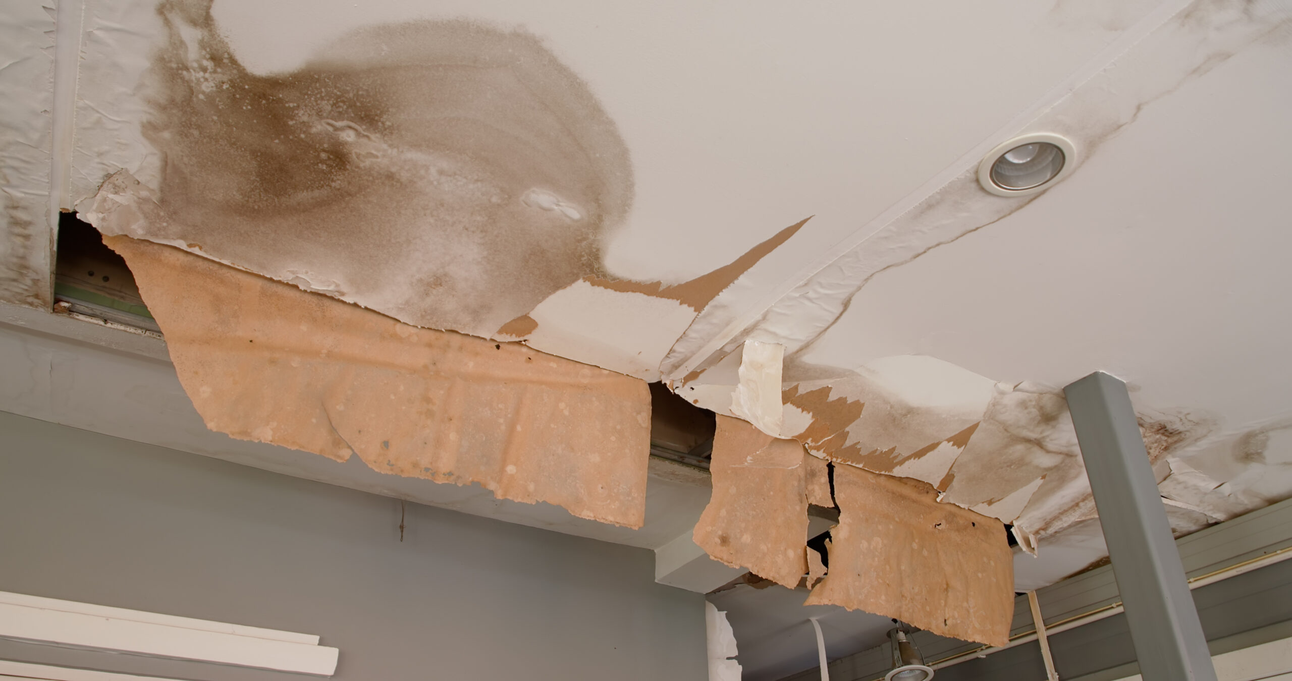 Water mitigation Bloomfield hills mi