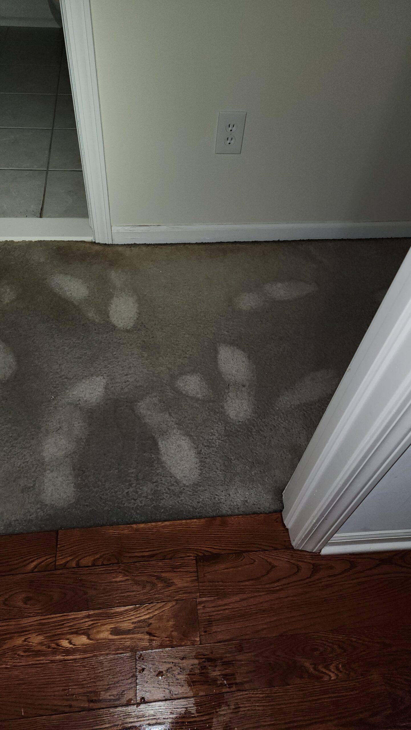 water mitigation Farmington hills mi​