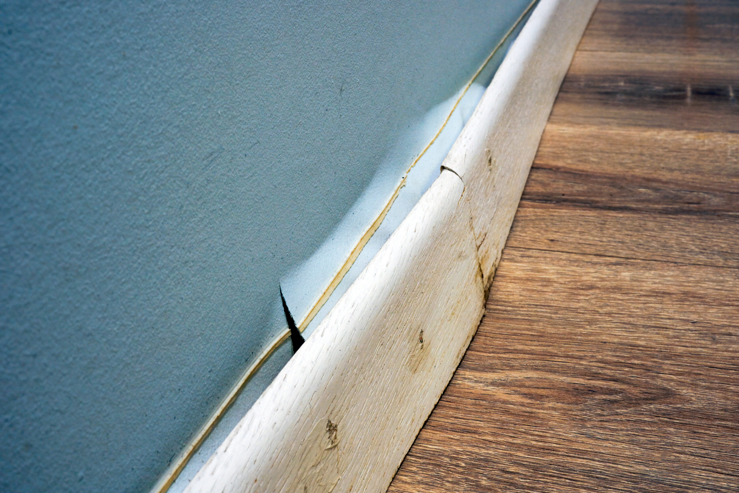 water mitigation Westland mi