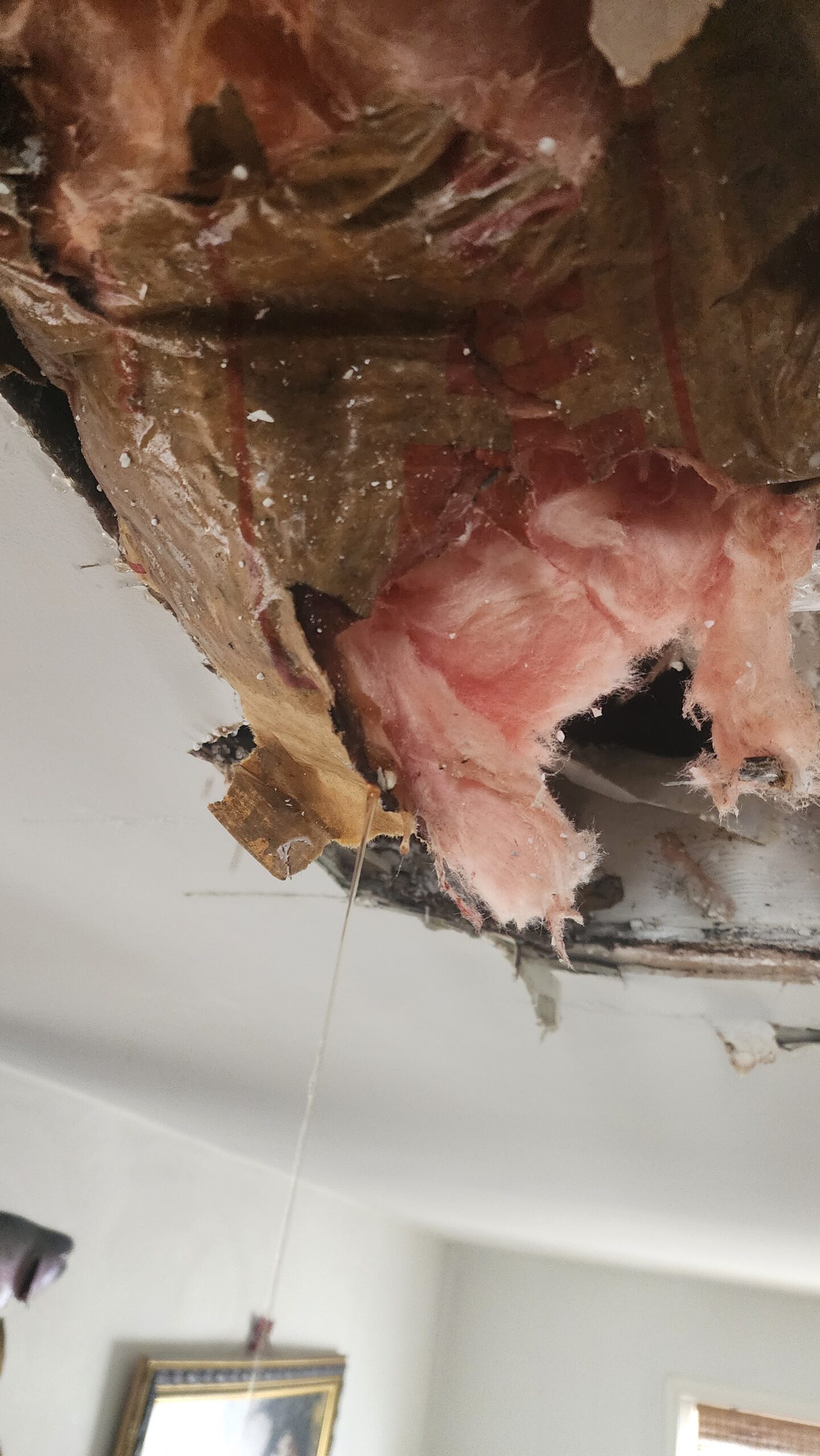 Frozen Burst Pipe in Ceiling