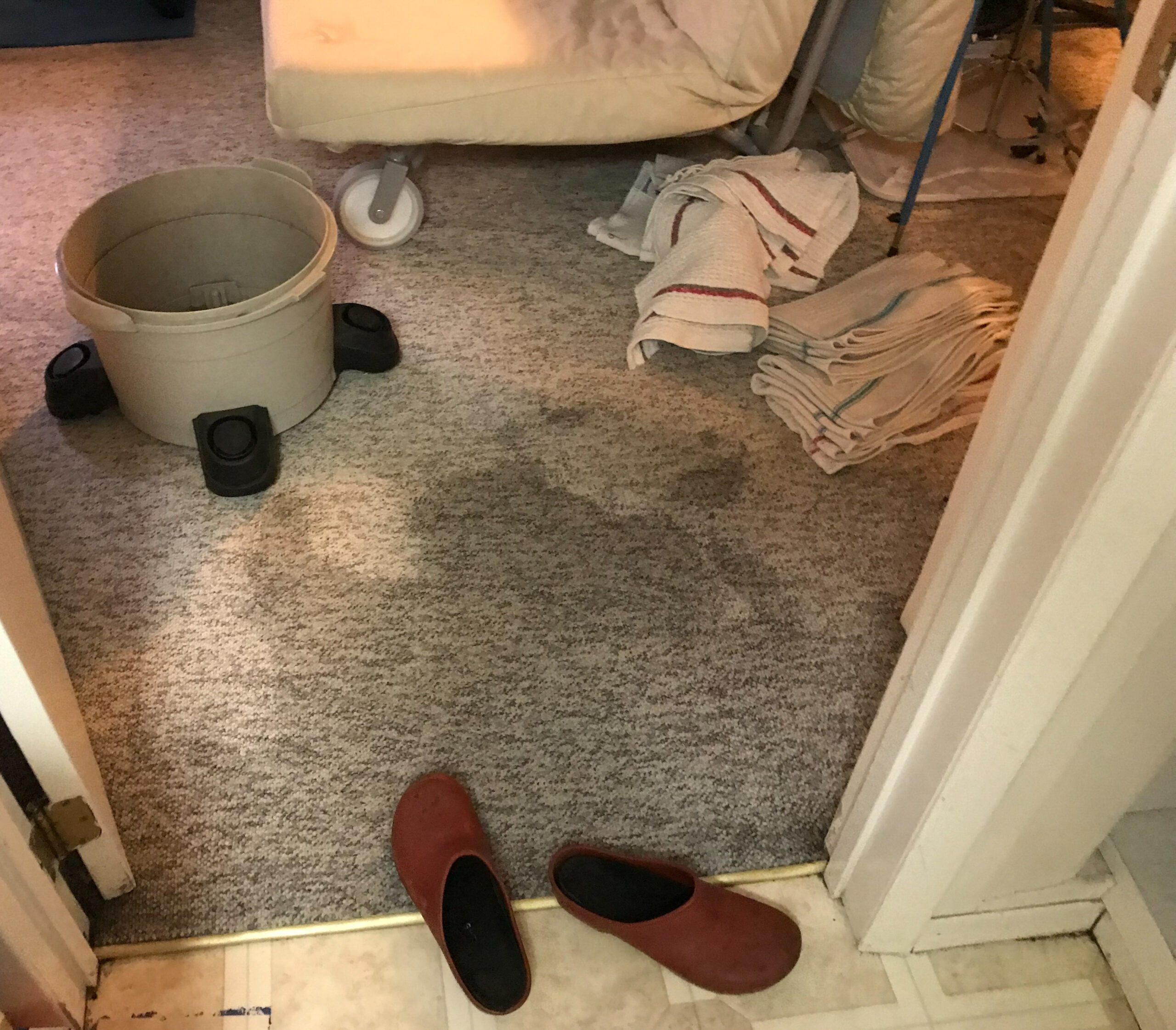 Tools for a flooded basement