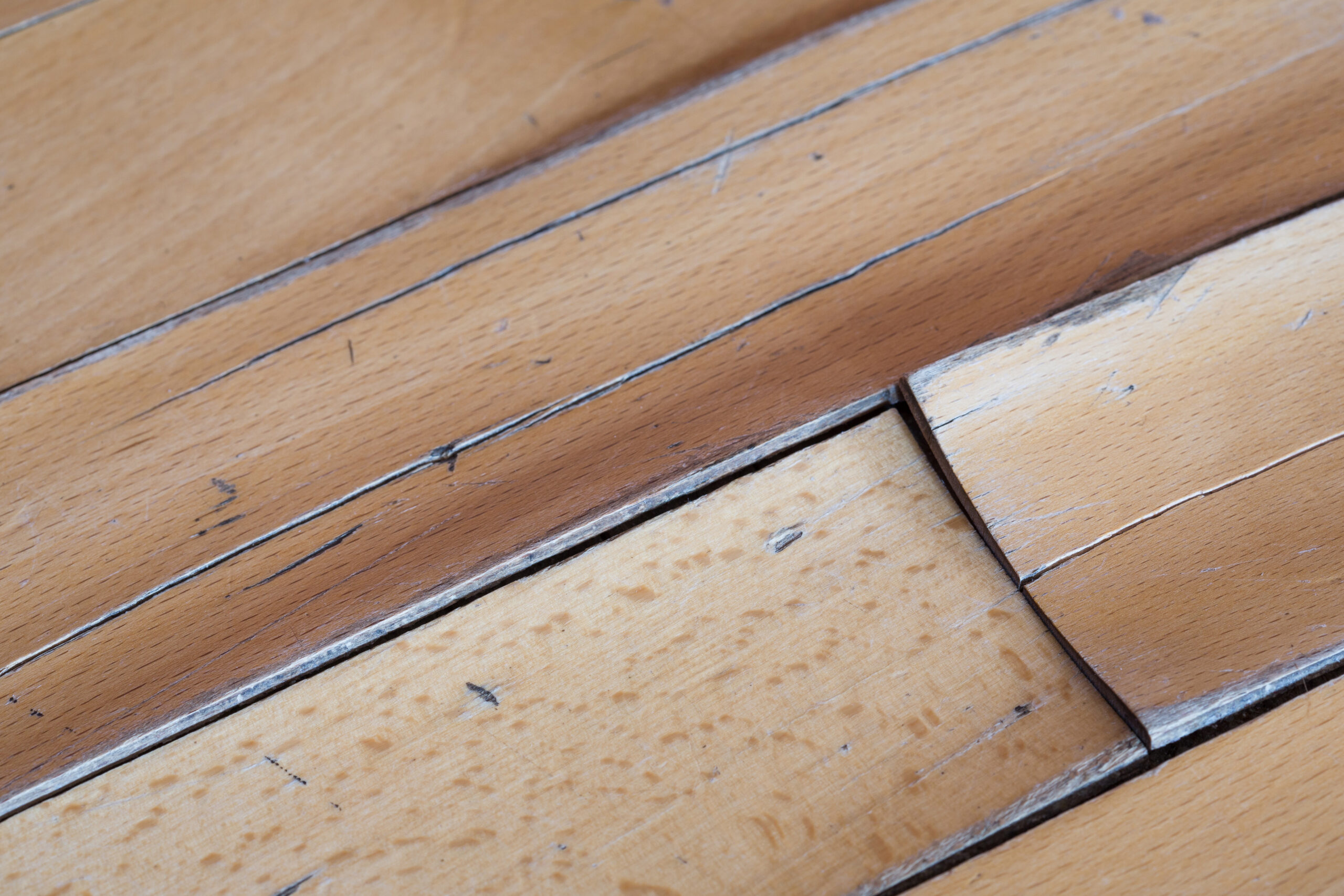 Wood floor water damage