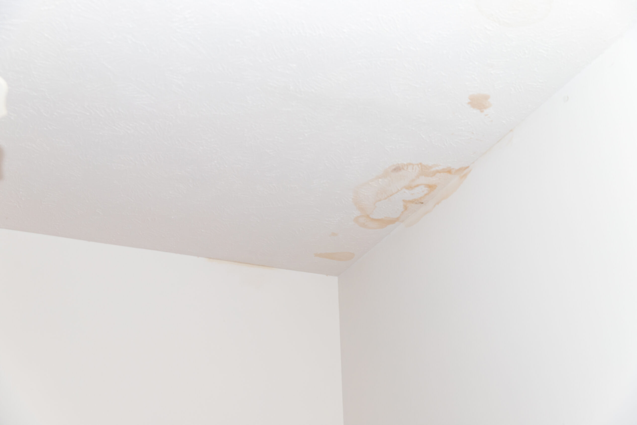 Shower Leaking